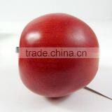 Artificial PE Apple for Decoration thumbnail-3