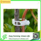 Tomato Grafting Clips thumbnail-1