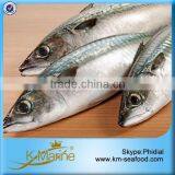 China Supplier Wholesale Frozen Mackerel Lot Number#kmw4050 thumbnail-1