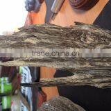 OUD/AGARWOOD SHRED, OUD/AGAR WOOD CHIP VIETNAM 100% natural