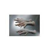 Chicken Feet Grade A thumbnail-1
