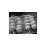 Small Package Fresh Pure White Garlic thumbnail-3