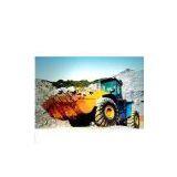 Wheel Loader 888RR