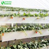 Vertical PVC Trough Hydroponic Strawberry Growing Systems In Greenhouse