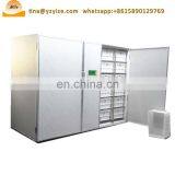 Bean Sprouter Machine for Automatic Mung Beans Sprout Machine thumbnail-5