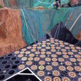 Underground Modular Rainwater Tank For Rainwater Recycle System