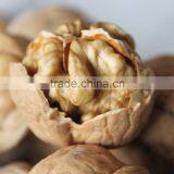 2015 New Walnut thumbnail-1