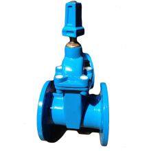 AWWA C509 C515 BS5163 DIN3202 F4/F5 SABS663/ SABS664 Resilient seat gate valve