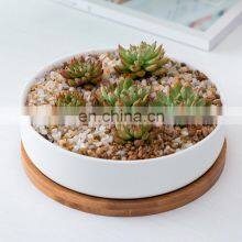 Cheap Round White Ceramic Vase Plant Pot Planters Indoor Cactus Small Planter Flower Pots & Planters Succulent Pots thumbnail-4
