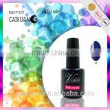 Factory Price Fashion Cat Eye Color Gel Nail Polish Oem thumbnail-5