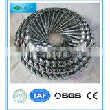 Low Price Metal Roofing Iron Nail