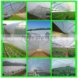 Suntex Hot Sale Virgin PE Protective Insect Resistance Anti Penetration Film thumbnail-3