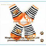 S22 Halloween Cotton Knitted Dog Socks for Holiday thumbnail-1