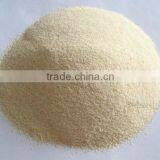 Garlic Granules thumbnail-1