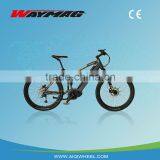 The lastest model electric bike for sale/cheap electric bicycle