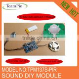 motion sensor recordable sound module