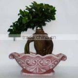 ficus ginseng microcarpa bonsai tree Taiwan Ficus Banyan Fig indoor ornamental plants nursery