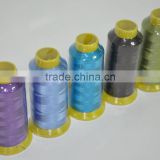 Colorful Good Quality Embroidery Thread 120d/2