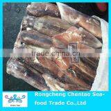 BQF 12.5 KG Illex Squid Whole Round