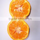 Chinese nanfeng fresh mandarin orange