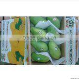 Fresh Mango (Processed / Washed) thumbnail-4