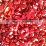 Hot Selling in Austrilia Market Bullet Chilli Ring Dried Chilli Cutted From China Factory Supplier thumbnail-2