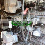 Galvanized 2m 4 Tier 16 Nests Pigeon Transport Cage thumbnail-4