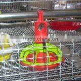 Floor rearing feeders for Broiler