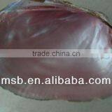 Natural Raw Thick Chinese River Triangle Shell/raw Shells thumbnail-5