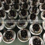 Center Irrigation System 11 Rings Slip Ring Connector thumbnail-5