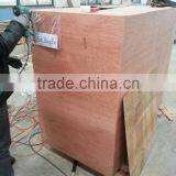 Jinan Eagle Pop Cereals Grains Soghum /corn/maize/rice Machine thumbnail-6