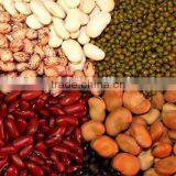 Hongshi High-Tech Cotton Seed CCD Color Sorter, High Precision and Good Performance thumbnail-3