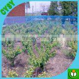 New HDPE Garden Anti Bird Netting/fruit Protection Net Protection Netting/cherry Orhard Anti Bird Protection Net thumbnail-5