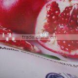 1M Pvc Flex Outdoor Hanging Banner 340g thumbnail-3