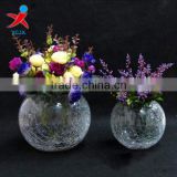 European creative glass vase/cut flower in different container/Contracted home decorations/The sitting room handicraft furn