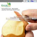 Paring Knife 4 Inch - Best Quality Japanese VG10 Super Steel 67 Layer High thumbnail-6