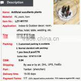 Artificial Mini Succulents Artificial Succulent Plants for Indoor Decoration Bonsai Potted Small Preserved Plant thumbnail-2