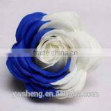 Wholesale Colorful Big Rose Flower Two - Tone Rose Diy Artificial Soap Flower thumbnail-4