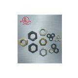 Standard Fasteners- Hex Nuts and Bolts thumbnail-1