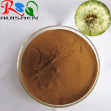 Dandelion Extract,CAS NO 68990-74-9 thumbnail-1