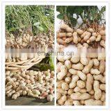 Commercial Hot Sale Peanut Groundnut Picker Machine thumbnail-6