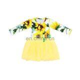 New Arrival Halloween Skull Pumpkin Baby Dress Ruffled Tulle for Girls Popular Long Sleeve Dress thumbnail-5