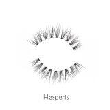 3D Mink Lashes Vendor thumbnail-5