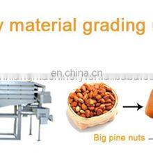 Commercial Automatic Pine Nuts Cleaning Machine Pine Processing Machine thumbnail-5