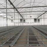 UV Treated Plastic Greenhouses for Sale thumbnail-4