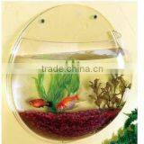 Fashion Design Customized Size Round Wall-mounted Acrylic Fish Tank thumbnail-2