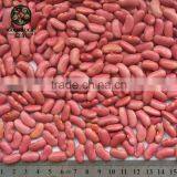 2015 Crop 200~220pcs Light Red Kidney Beans, LRKB