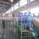 Citrus Juice Processing Line Orange Juice Production Line