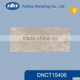 Ceramic Wall Tile (300*600) DNCT15406