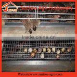 Top quality Cheapest poultry shed design house